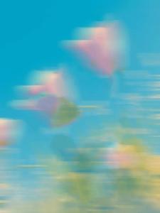 ���е���ֵ�౻ʵϰ���ٱ�ְͣ����ɱ����