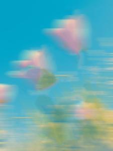 ���е���ֵ�౻ʵϰ���ٱ�ְͣ����ɱ����